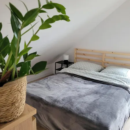 Casa de Férias Start Na Szlak - Dom